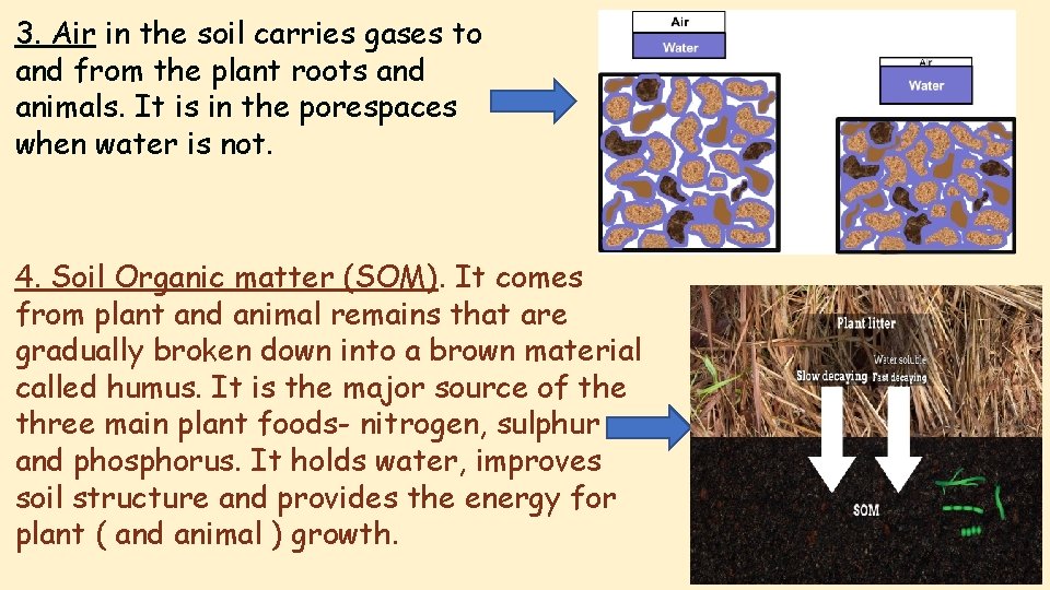 3. Air in the soil carries gases to and from the plant roots and