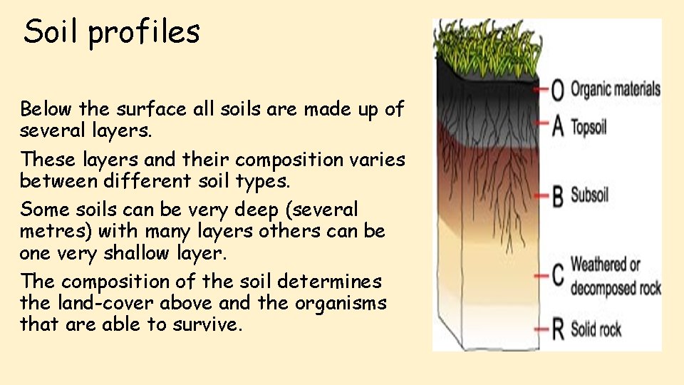 Soil profiles Below the surface all soils are made up of several layers. These