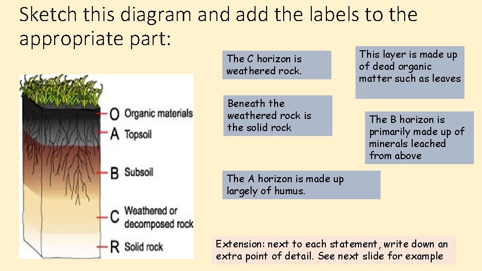 Sketch this diagram and add the labels to the appropriate part: The C horizon