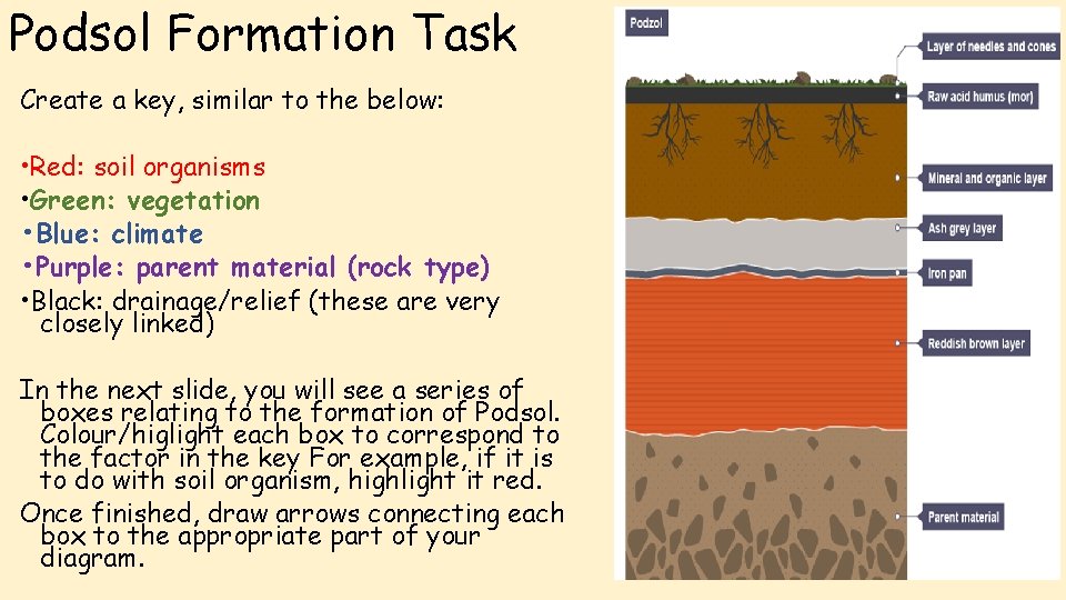 Podsol Formation Task Create a key, similar to the below: • Red: soil organisms