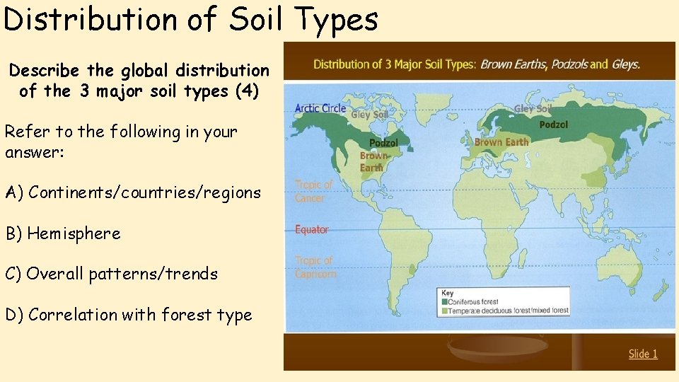 Distribution of Soil Types Describe the global distribution of the 3 major soil types