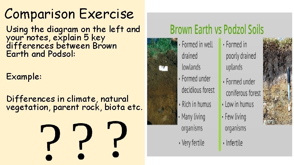 Comparison Exercise Using the diagram on the left and your notes, explain 5 key