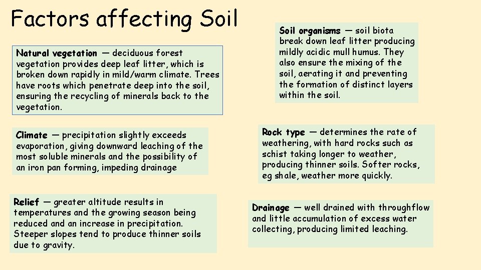 Factors affecting Soil Natural vegetation — deciduous forest vegetation provides deep leaf litter, which