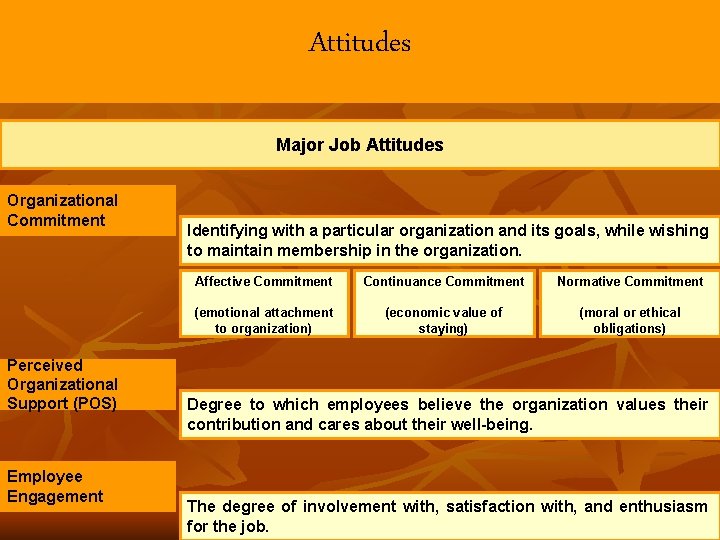 Attitudes Major Job Attitudes Organizational Commitment Perceived Organizational Support (POS) Employee Engagement Identifying with