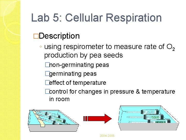 Lab 5: Cellular Respiration �Description ◦ using respirometer to measure rate of O 2