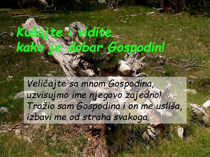 Kušajte i vidite kako je dobar Gospodin! Veličajte sa mnom Gospodina, uzvisujmo ime njegovo Kušajte i vidite kako je dobar Gospodin! Veličajte sa mnom Gospodina, uzvisujmo ime njegovo