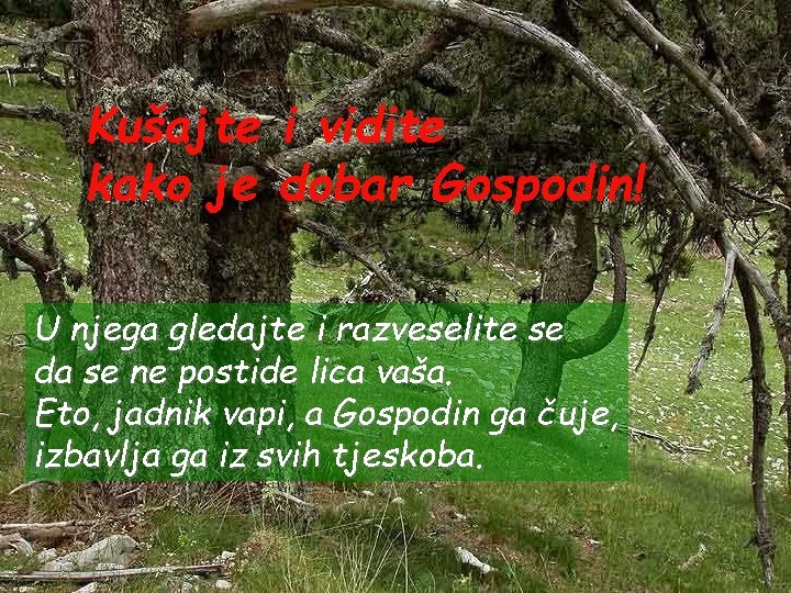 Kušajte i vidite kako je dobar Gospodin! U njega gledajte i razveselite se da Kušajte i vidite kako je dobar Gospodin! U njega gledajte i razveselite se da
