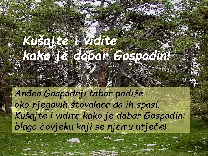 Kušajte i vidite kako je dobar Gospodin! Anđeo Gospodnji tabor podiže oko njegovih štovalaca Kušajte i vidite kako je dobar Gospodin! Anđeo Gospodnji tabor podiže oko njegovih štovalaca