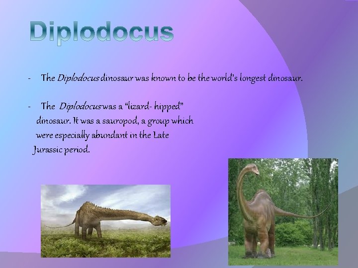 - The Diplodocus dinosaur was known to be the world’s longest dinosaur. - The