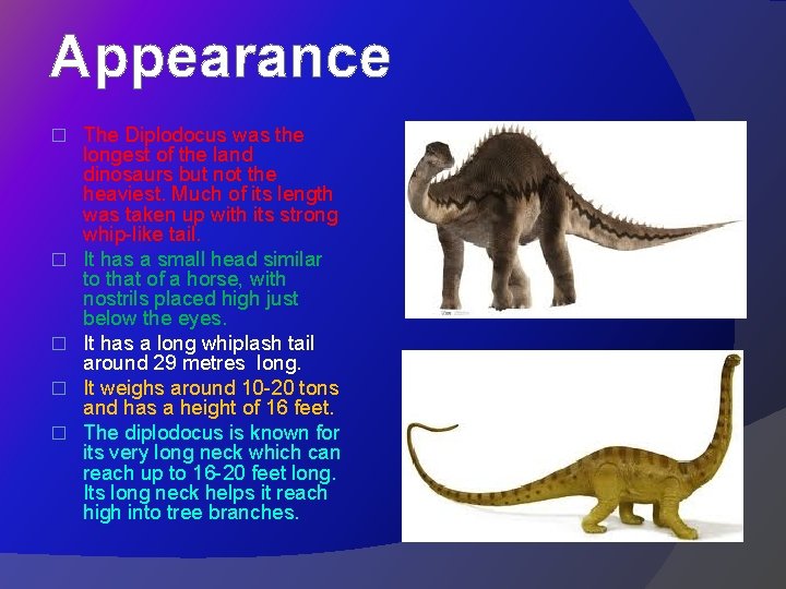 Appearance � � � The Diplodocus was the longest of the land dinosaurs but