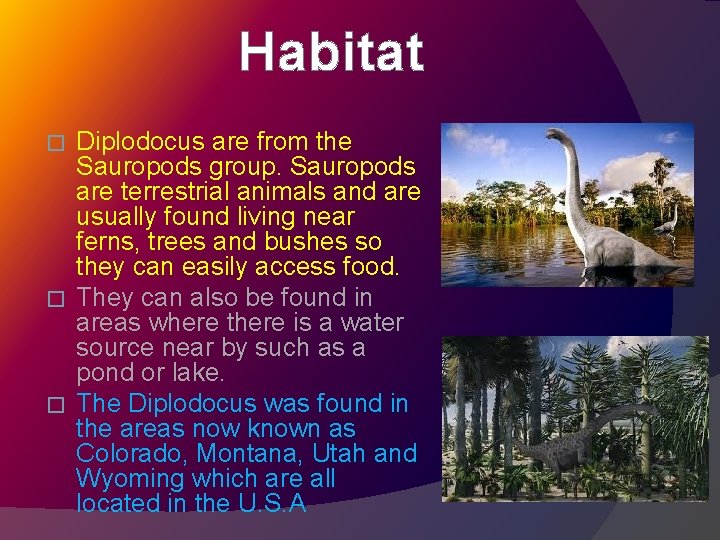 Habitat Diplodocus are from the Sauropods group. Sauropods are terrestrial animals and are usually