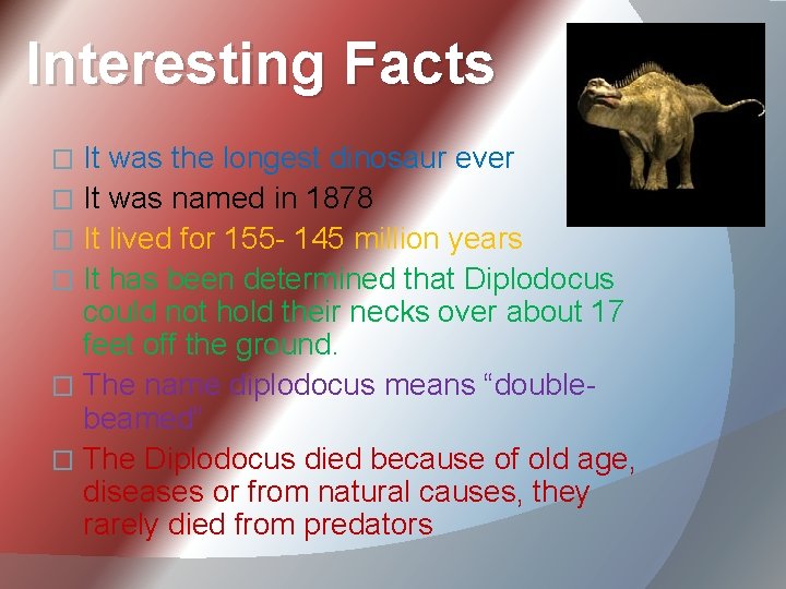 Interesting Facts It was the longest dinosaur ever � It was named in 1878