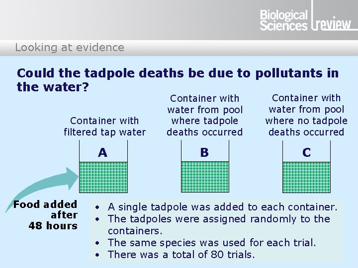 Looking at evidence Could the tadpole deaths be due to pollutants in the water?