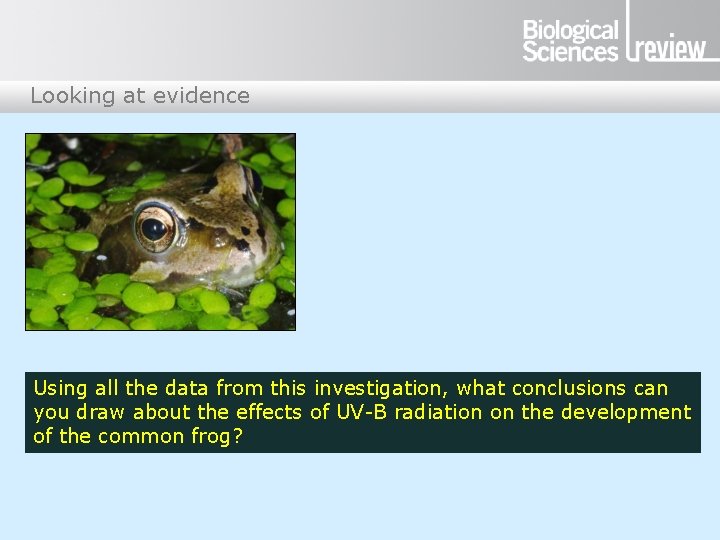 Looking at evidence Using all the data from this investigation, what conclusions can you