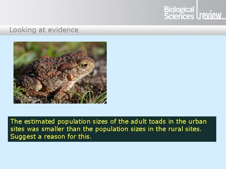 Looking at evidence The estimated population sizes of the adult toads in the urban