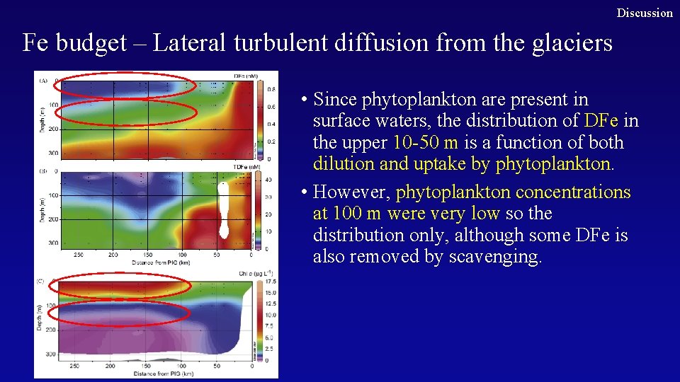 Discussion Fe budget – Lateral turbulent diffusion from the glaciers • Since phytoplankton are