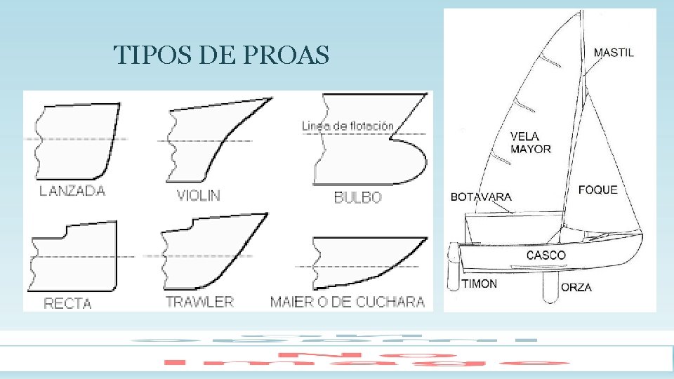 TIPOS DE PROAS 