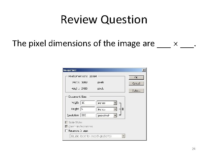 Review Question The pixel dimensions of the image are ___. 24 