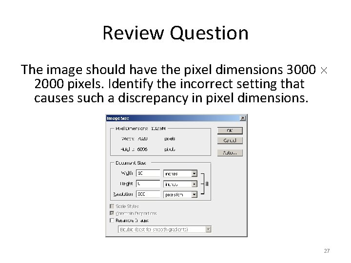 Review Question The image should have the pixel dimensions 3000 2000 pixels. Identify the