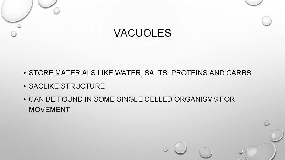 VACUOLES • STORE MATERIALS LIKE WATER, SALTS, PROTEINS AND CARBS • SACLIKE STRUCTURE •