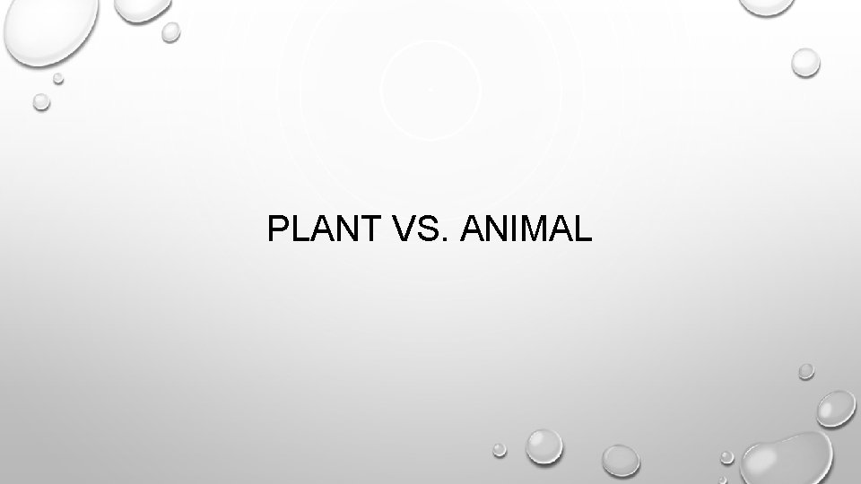 PLANT VS. ANIMAL 