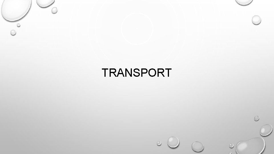 TRANSPORT 