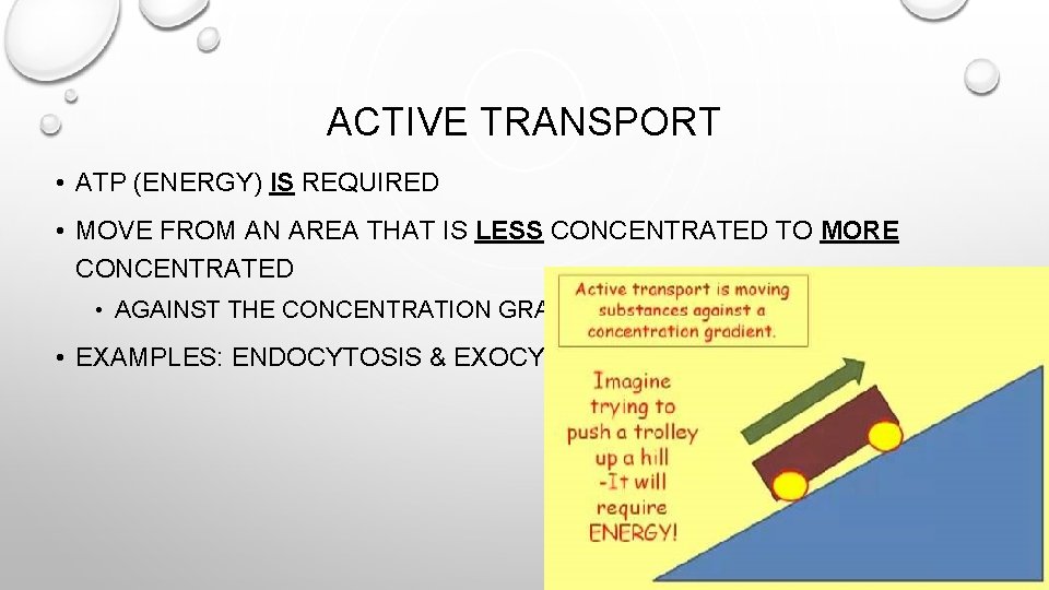 ACTIVE TRANSPORT • ATP (ENERGY) IS REQUIRED • MOVE FROM AN AREA THAT IS
