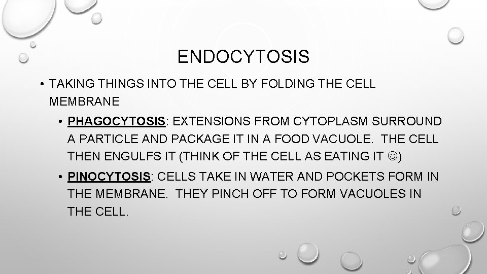 ENDOCYTOSIS • TAKING THINGS INTO THE CELL BY FOLDING THE CELL MEMBRANE • PHAGOCYTOSIS: