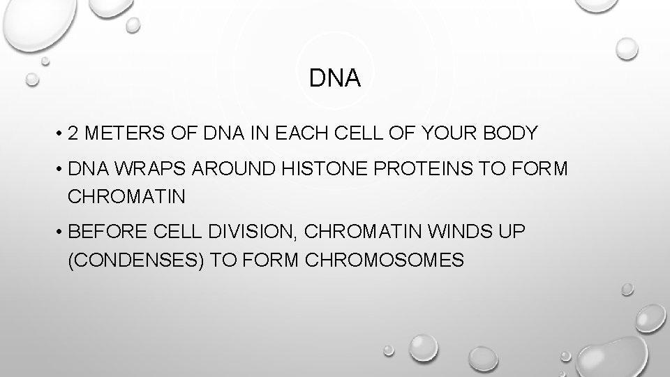DNA • 2 METERS OF DNA IN EACH CELL OF YOUR BODY • DNA