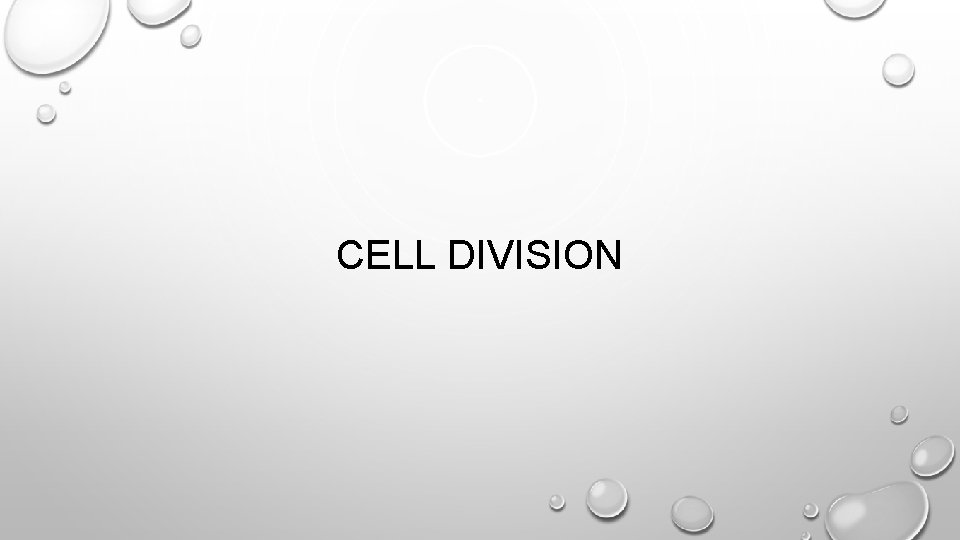 CELL DIVISION 