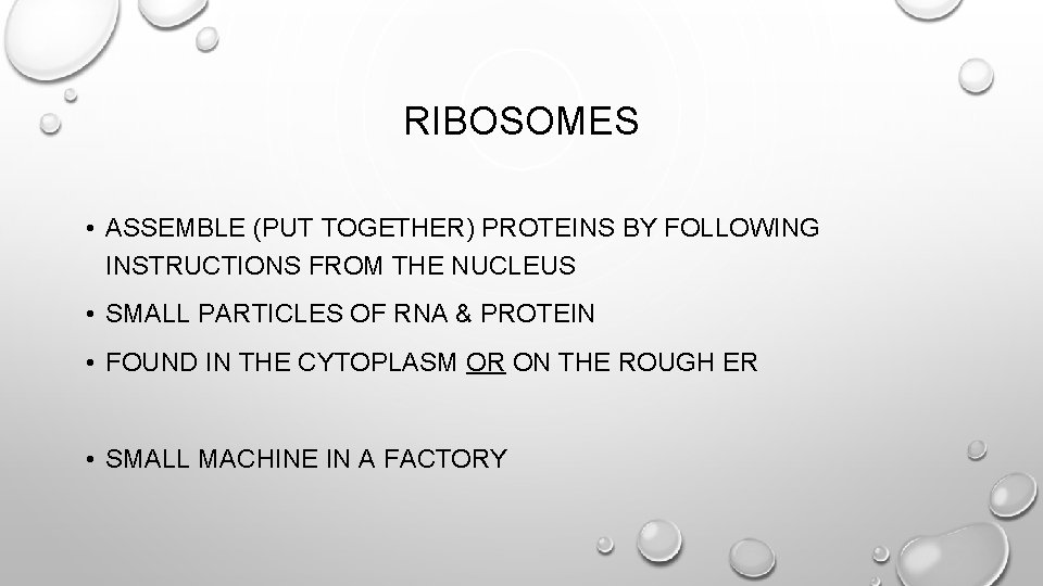 RIBOSOMES • ASSEMBLE (PUT TOGETHER) PROTEINS BY FOLLOWING INSTRUCTIONS FROM THE NUCLEUS • SMALL