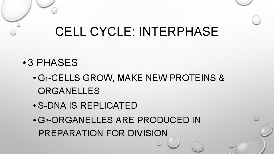 CELL CYCLE: INTERPHASE • 3 PHASES • G 1 -CELLS GROW, MAKE NEW PROTEINS