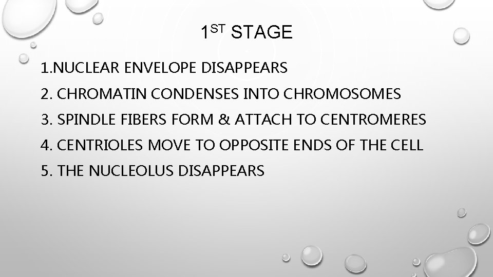 1 ST STAGE 1. NUCLEAR ENVELOPE DISAPPEARS 2. CHROMATIN CONDENSES INTO CHROMOSOMES 3. SPINDLE