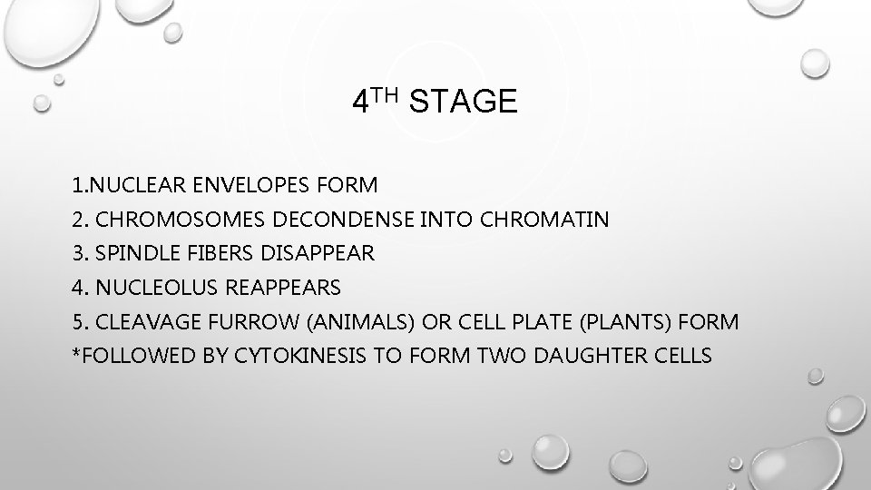 4 TH STAGE 1. NUCLEAR ENVELOPES FORM 2. CHROMOSOMES DECONDENSE INTO CHROMATIN 3. SPINDLE