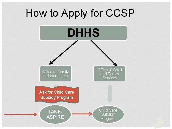 How to Apply for CCSP DHHS Office of Family Independence Office of Child and