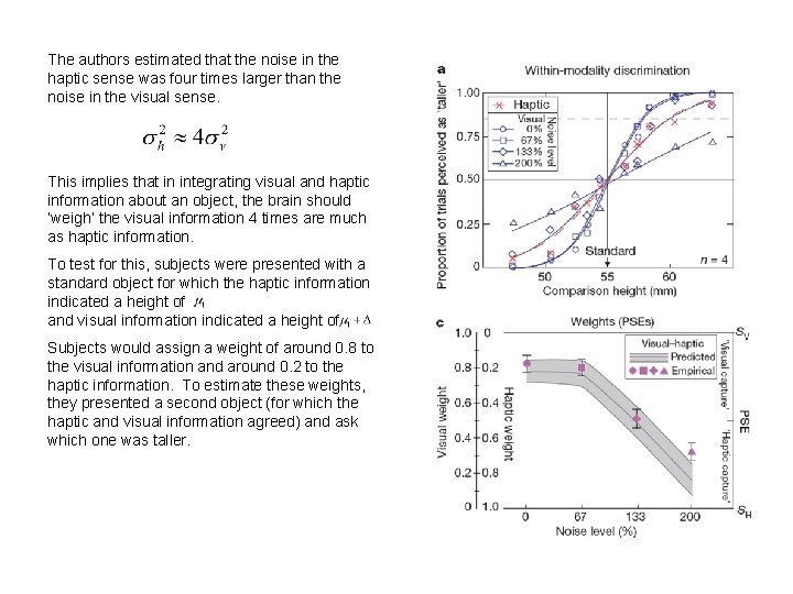 The authors estimated that the noise in the haptic sense was four times larger