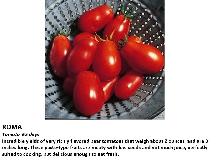 ROMA Tomato 65 days Incredible yields of very richly flavored pear tomatoes that weigh