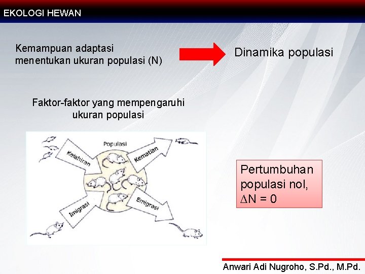 EKOLOGI HEWAN Kemampuan adaptasi menentukan ukuran populasi (N) Dinamika populasi Faktor-faktor yang mempengaruhi ukuran