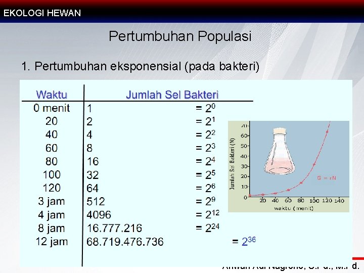 EKOLOGI HEWAN Pertumbuhan Populasi 1. Pertumbuhan eksponensial (pada bakteri) Anwari Adi Nugroho, S. Pd.