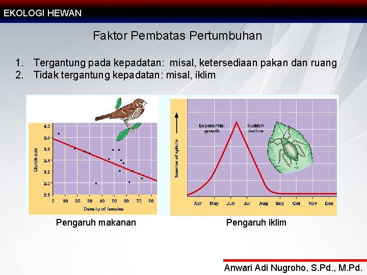 EKOLOGI HEWAN Faktor Pembatas Pertumbuhan 1. Tergantung pada kepadatan: misal, ketersediaan pakan dan ruang
