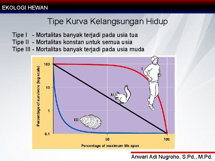 EKOLOGI HEWAN Tipe Kurva Kelangsungan Hidup Tipe I - Mortalitas banyak terjadi pada usia