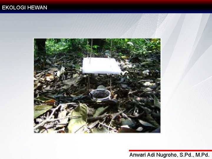 EKOLOGI HEWAN Anwari Adi Nugroho, S. Pd. , M. Pd. 
