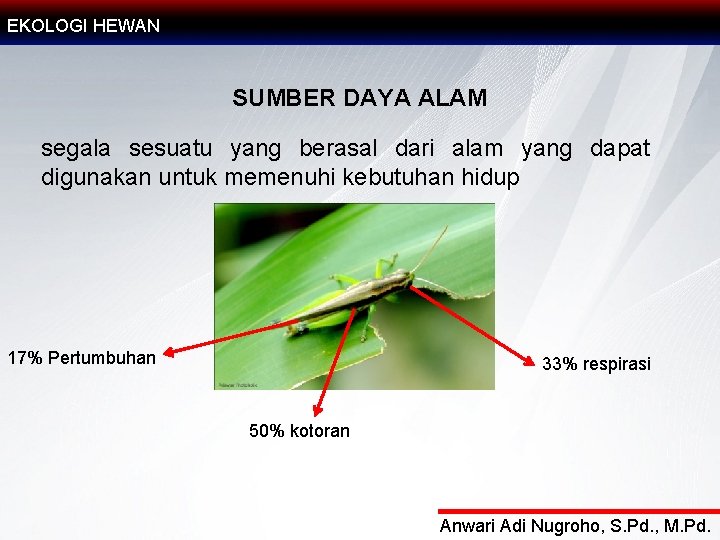 EKOLOGI HEWAN SUMBER DAYA ALAM segala sesuatu yang berasal dari alam yang dapat digunakan
