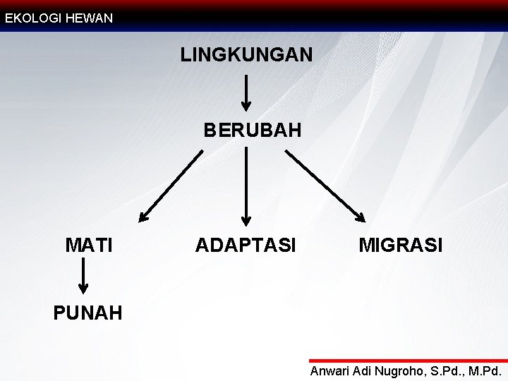 EKOLOGI HEWAN LINGKUNGAN BERUBAH MATI ADAPTASI MIGRASI PUNAH Anwari Adi Nugroho, S. Pd. ,