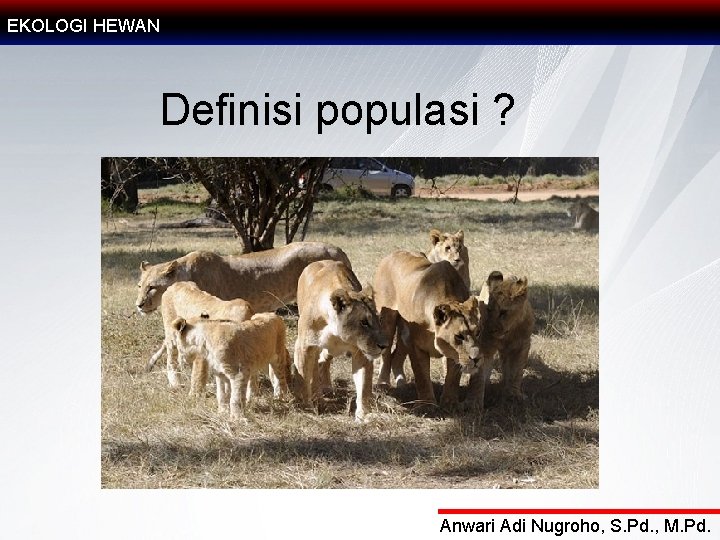 EKOLOGI HEWAN Definisi populasi ? Anwari Adi Nugroho, S. Pd. , M. Pd. 