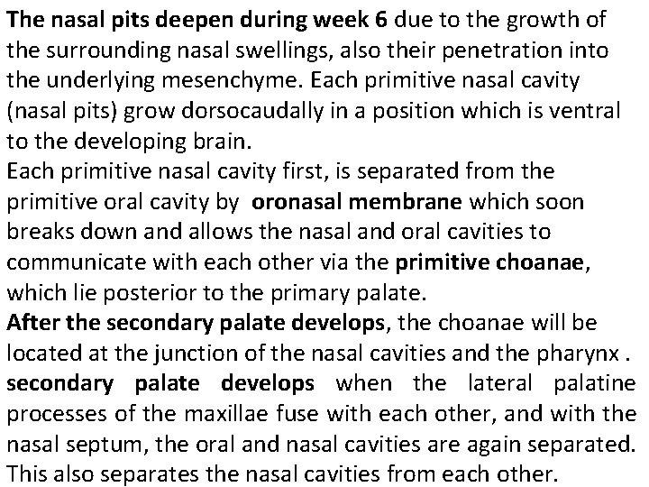 The nasal pits deepen during week 6 due to the growth of the surrounding