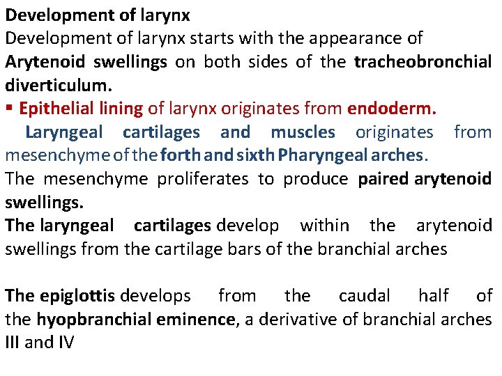 Development of larynx starts with the appearance of Arytenoid swellings on both sides of