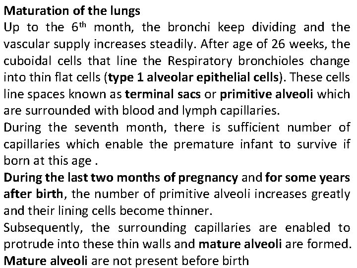 Maturation of the lungs Up to the 6 th month, the bronchi keep dividing