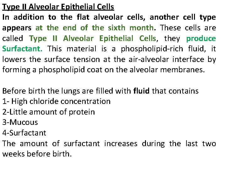 Type II Alveolar Epithelial Cells In addition to the flat alveolar cells, another cell