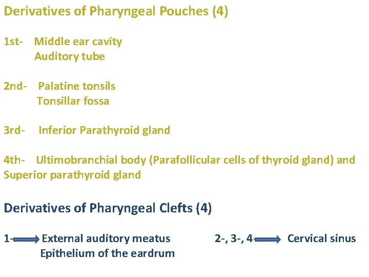 Derivatives of Pharyngeal Pouches (4) 1 st- Middle ear cavity Auditory tube 2 nd-